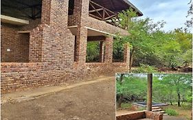 Adder Way Around To Kruger